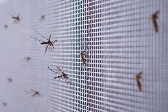 Atskleidė, kokie metodai padės apsisaugoti nuo uodų gamtoje, jei neturite specialių priemonių