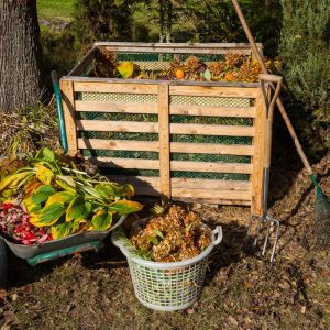 Norite pasigaminti ypač veiksmingą kompostą? Įberkite šį ingredientą