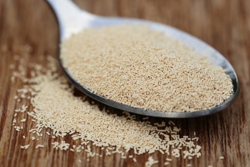Norite pasigaminti ypač veiksmingą kompostą? Įberkite šį ingredientą. Netinkamų kepiniams mielių panaudojimas