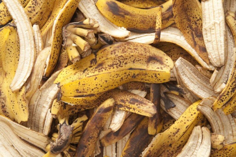 Šios naminės trąšos yra universaliausios. Kur jas galite panaudoti? Bananų žievės