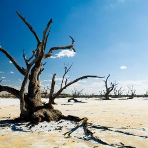 Klimato prognozės: po 50 metų šios šalys gali tapti nebegyvenamos