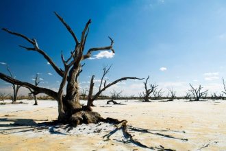 Klimato prognozės: po 50 metų šios šalys gali tapti nebegyvenamos
