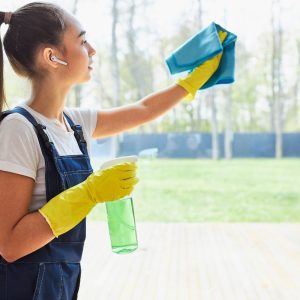 Kaip nuvalyti langus, kad jie spindėtų: patikrinti būdai be dryžių