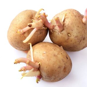 5 paprasti būdai, kaip apsaugoti bulves nuo dygimo