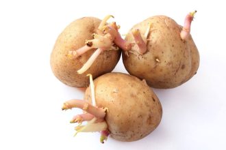 5 paprasti būdai, kaip apsaugoti bulves nuo dygimo