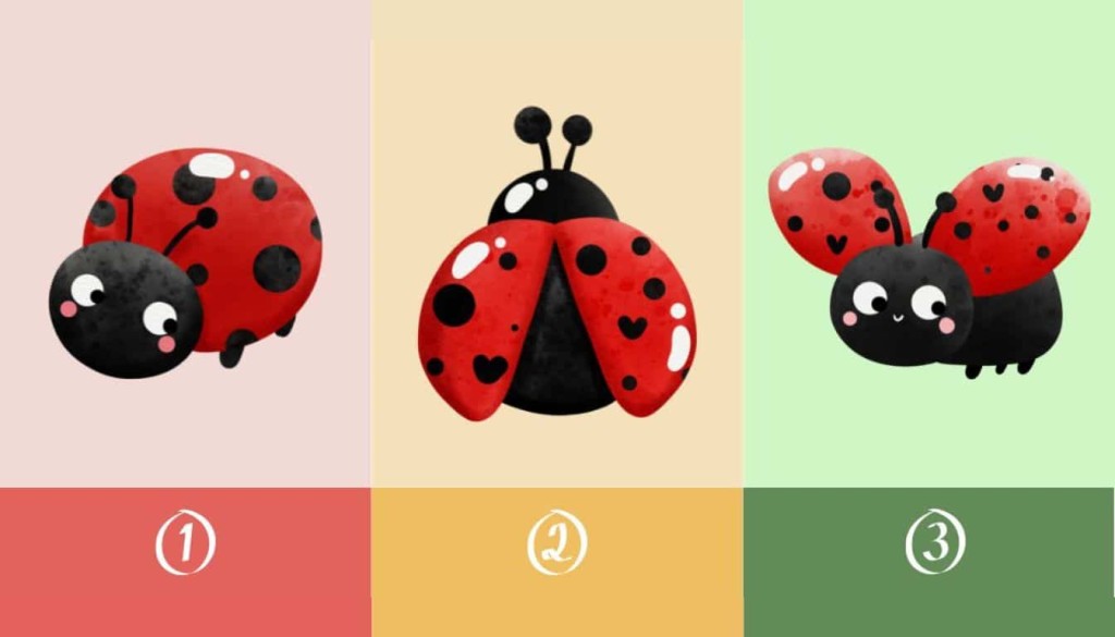 Asmenybės testas: išsirinkite boružėlę, ką tai sako apie jūsų darbo ir gyvenimo balansą? https://abmeyerwood.com/