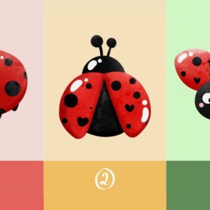 Asmenybės testas: išsirinkite boružėlę, ką tai sako apie jūsų darbo ir gyvenimo balansą? https://abmeyerwood.com/