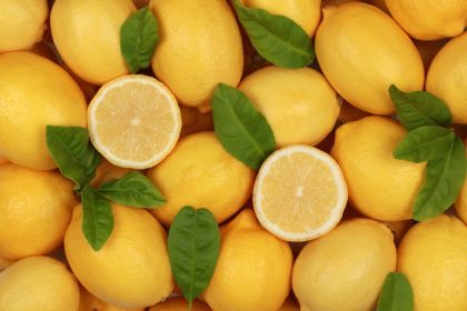 Citrina ir jos panaudojimas.
