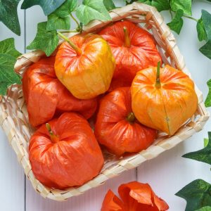 Specialistai teigia, jog dumplainis turėtų būti mūsų maisto racione