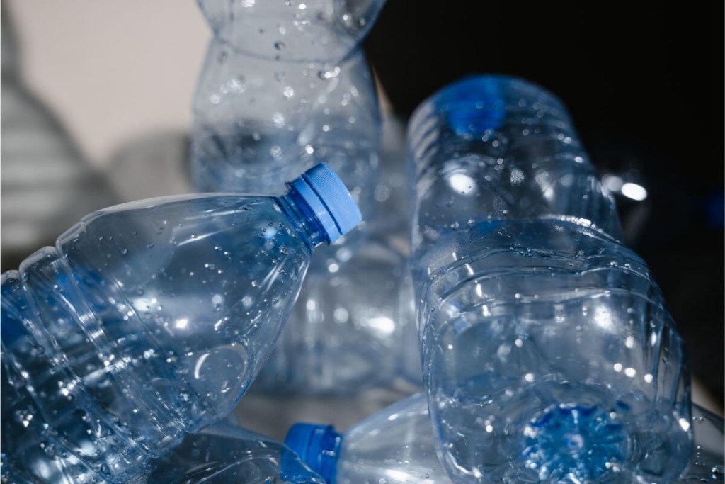 Graužikai žiurkės ir pelės. Kaip atsikratyti? Aliejus plastikiniame butelyje.