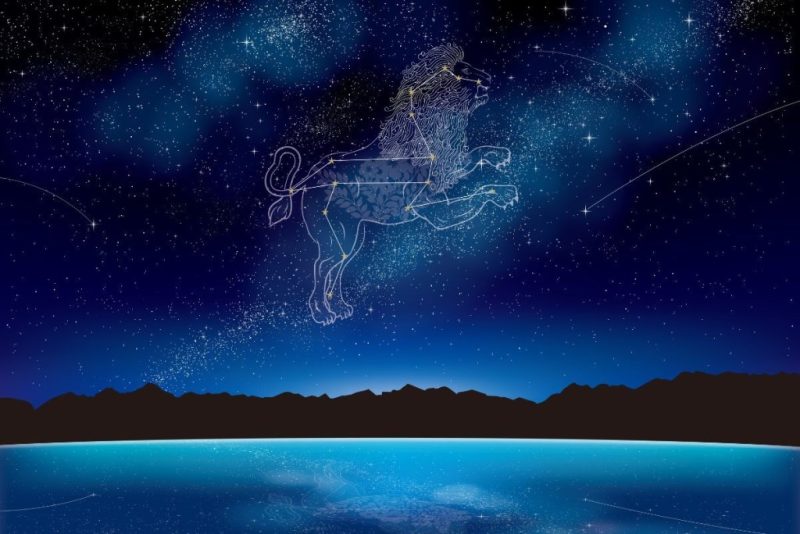Kaip jus mato kiti pagal zodiako ženklą. Zodiako ženklai. Liūtas