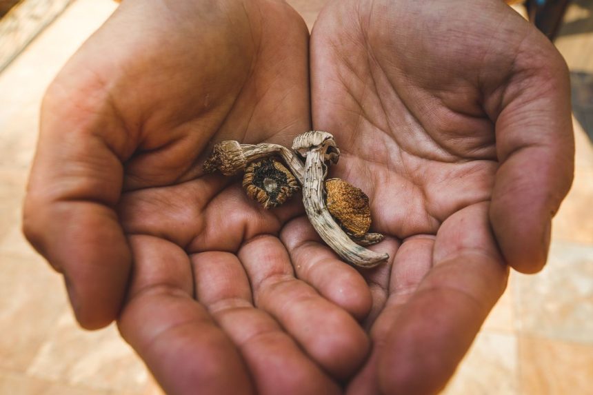 Kas vyksta pasaulyje: 10 svarbiausių birželio 18-osios įvykių