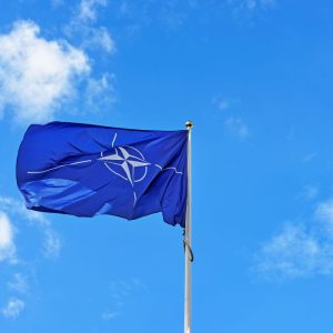 NATO viršūnių susitikimas Hagoje: ko šįkart tikėtis iš Aljanso partnerių?