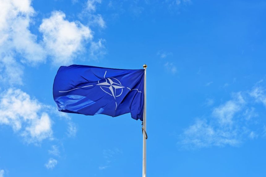 NATO viršūnių susitikimas Hagoje: ko šįkart tikėtis iš Aljanso partnerių?