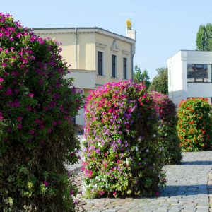 Norite, kad jūsų namų nesimatytų Google Street View? Štai, ką reikia daryti