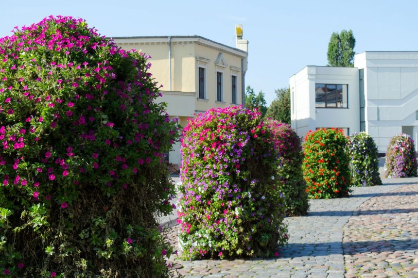 Norite, kad jūsų namų nesimatytų Google Street View? Štai, ką reikia daryti