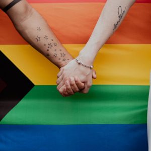 Partnerystės klausimas Seime įstrigo: ar Konstitucija tampa politinės valios barjeru?