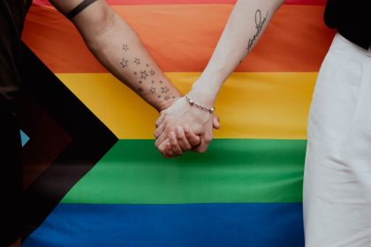 Partnerystės klausimas Seime įstrigo: ar Konstitucija tampa politinės valios barjeru?