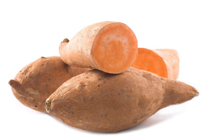 Saldžiųjų bulvių sodinimas. 7 klaidos, kurių nedaryti