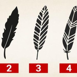 Testas: pasirinkite plunksną, ką ji sako apie jūsų asmenybę?