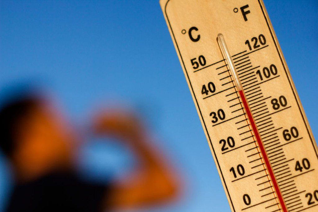 Užaugo kartūs agurkai? Štai, ką darote ne taip. Itin aukšta temperatūra