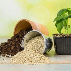 Vermikulitas - kam naudojamas ir kaip naudoti augalams.