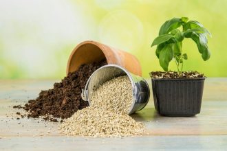 Vermikulitas - kam naudojamas ir kaip naudoti augalams.