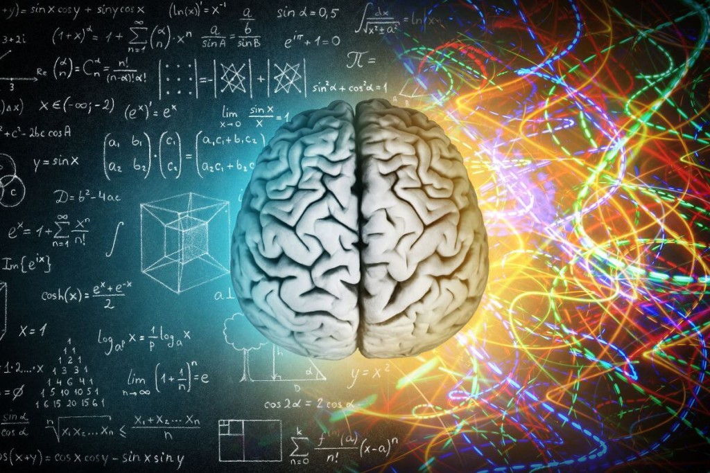 Kaip veikia neuroplastiškumas?