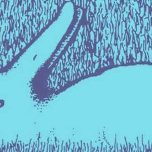 Asmenybės testas: esate realistas ar utopistas. Šaltinis abmeyerwood.com