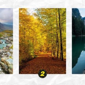 Asmenybės testas - koks sąžiningas esate. Abmeyerwood.com