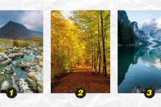 Asmenybės testas - koks sąžiningas esate. Abmeyerwood.com