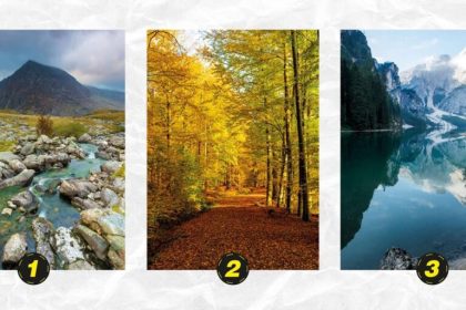 Asmenybės testas - koks sąžiningas esate. Abmeyerwood.com