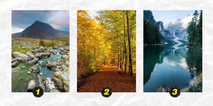Asmenybės testas - koks sąžiningas esate. Abmeyerwood.com