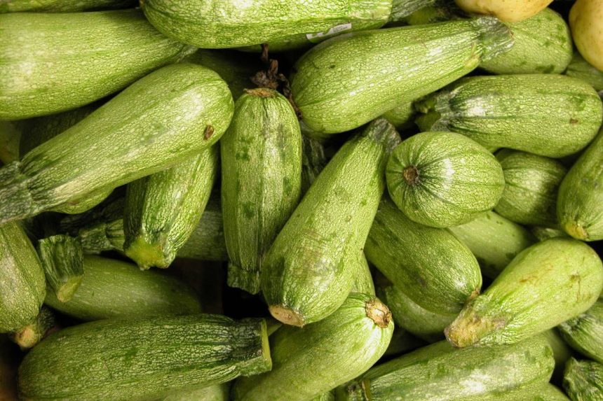 Gausiai užderėjo cukinijos? Šie 19 gardžių receptų padės jas suvartoti akimirksniu!