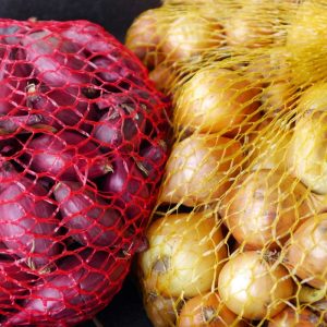 Geriausias būdas greitai užsiauginti svogūnų sodinukus