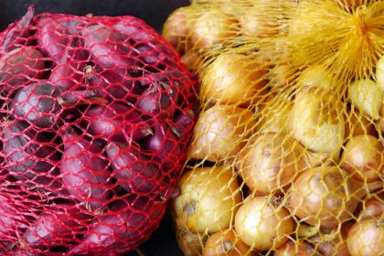 Geriausias būdas greitai užsiauginti svogūnų sodinukus