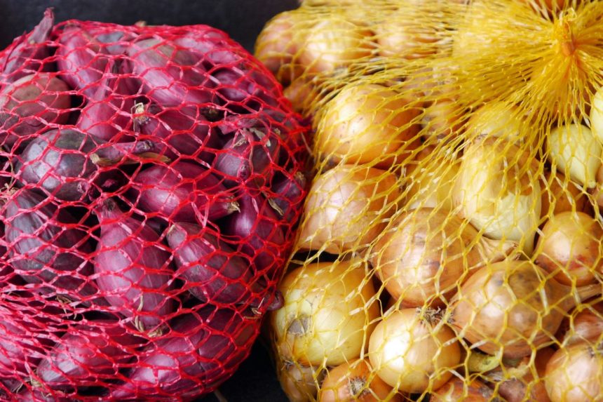 Geriausias būdas greitai užsiauginti svogūnų sodinukus