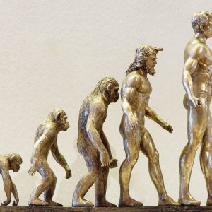 Kodėl turime uodegikaulį, bet neturime uodegos?