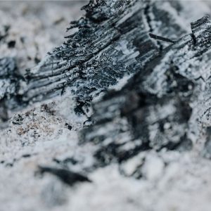 Kokiais atvejais sode pasitarnaus pelenai?
