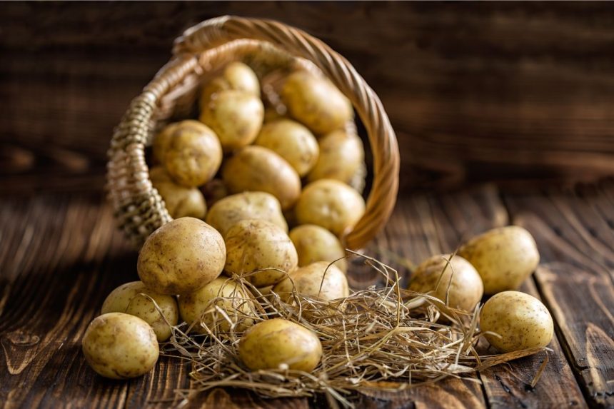 Kokios bulvės nevalgomos? Žinokite tai visiems laikams