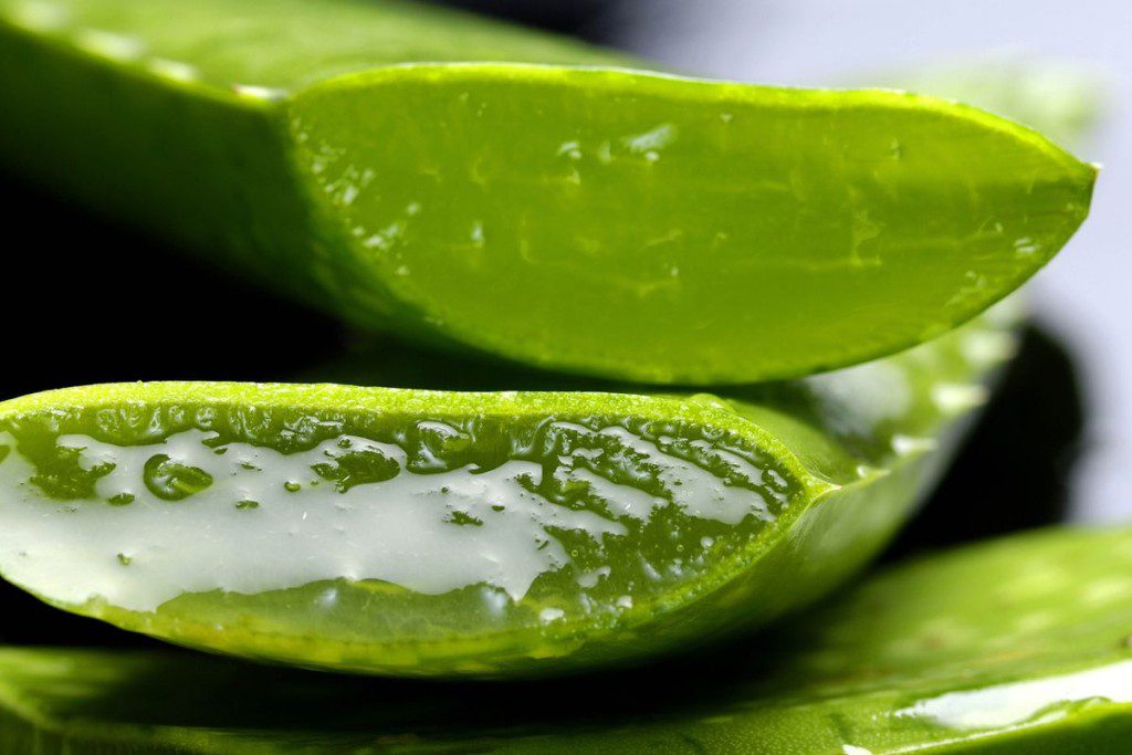 Natūrali pagalba iš gamtos: kokie augalai tinka veido priežiūrai? Aloe vera intensyvus drėkinimas