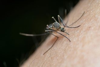 Patrinkite uodo įkandimo vietą šiuo produktu ir niežulys išnyks akimirksniu