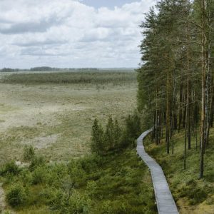 Pažintiniai takai Lietuvoje, kuriuos tiesiog būtina aplankyti dar šią vasarą.