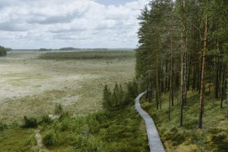 Pažintiniai takai Lietuvoje, kuriuos tiesiog būtina aplankyti dar šią vasarą.