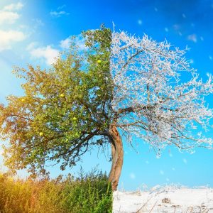 Sniegas iškritęs vasarą. Netikėti meteorologiniai reiškiniai Lietuvoje.