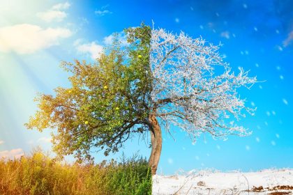 Sniegas iškritęs vasarą. Netikėti meteorologiniai reiškiniai Lietuvoje.