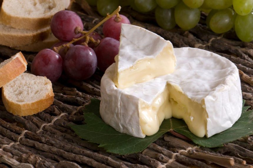 Ar Camembert sūris gali pagerinti atmintį? Naujas tyrimas