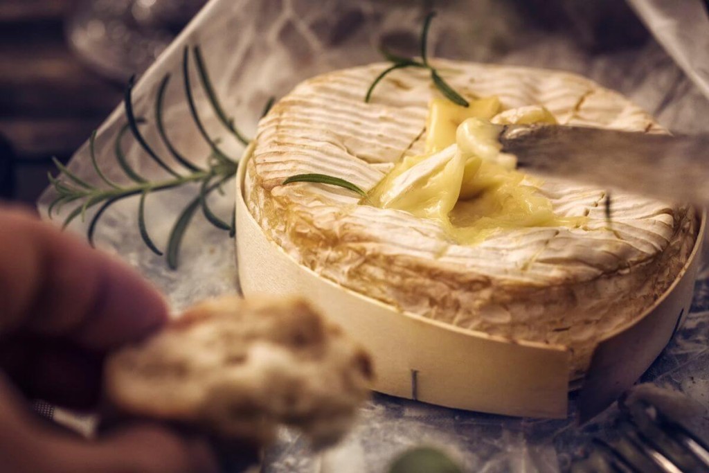 Camembert sūris ir fermentacija