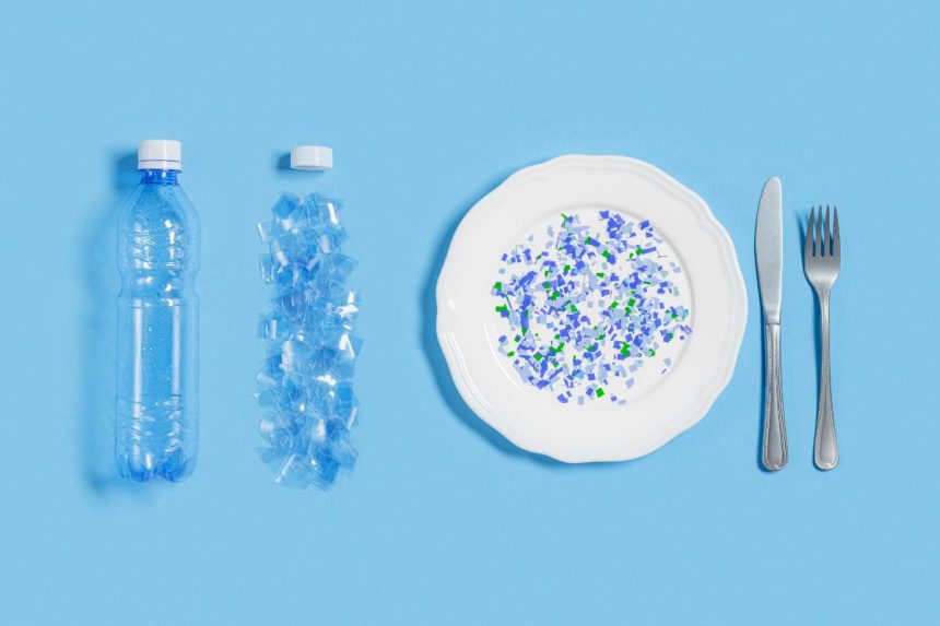 Kaip iš tikrųjų apriboti mikroplastiko poveikį: atskleidžia ekspertai