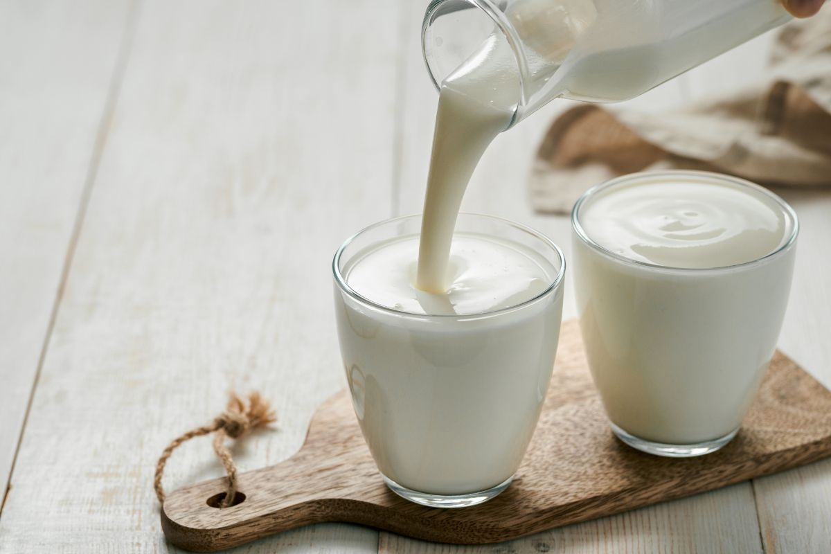 Kefyras ar jogurtas – kuris pieno produktas naudingesnis jūsų sveikatai?